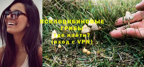 бошки Абдулино