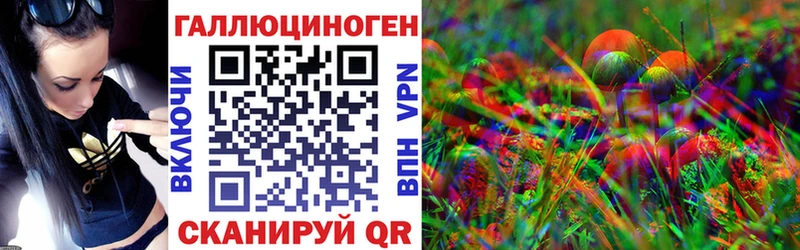 Галлюциногенные грибы Psilocybe  Железноводск 