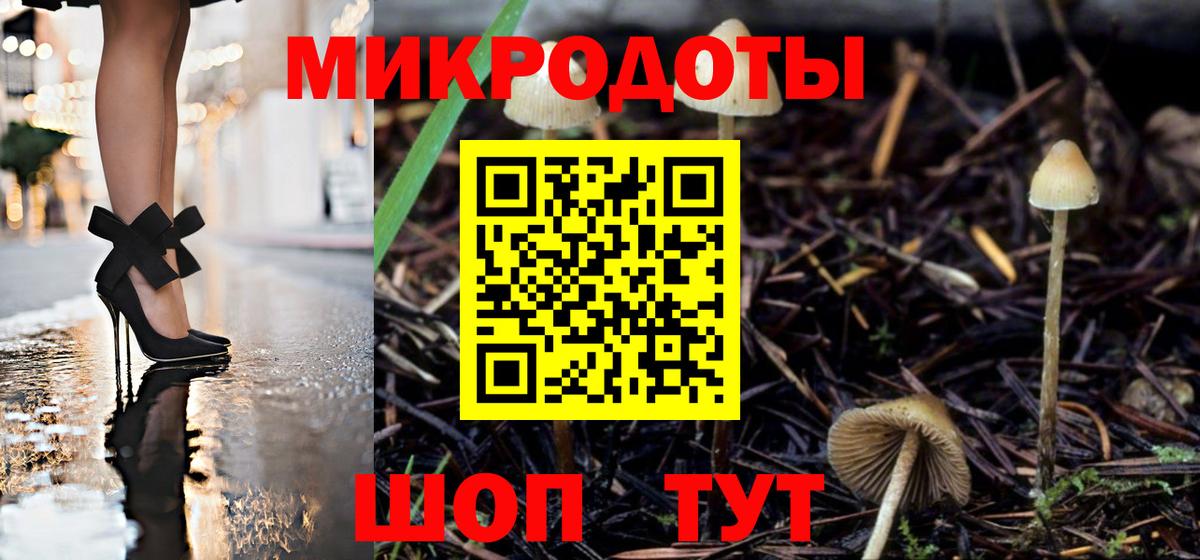 Железноводск  Псилоцибиновые грибы мухоморы  Вход с VPN  Псилоцибиновые грибы Psilocybe 